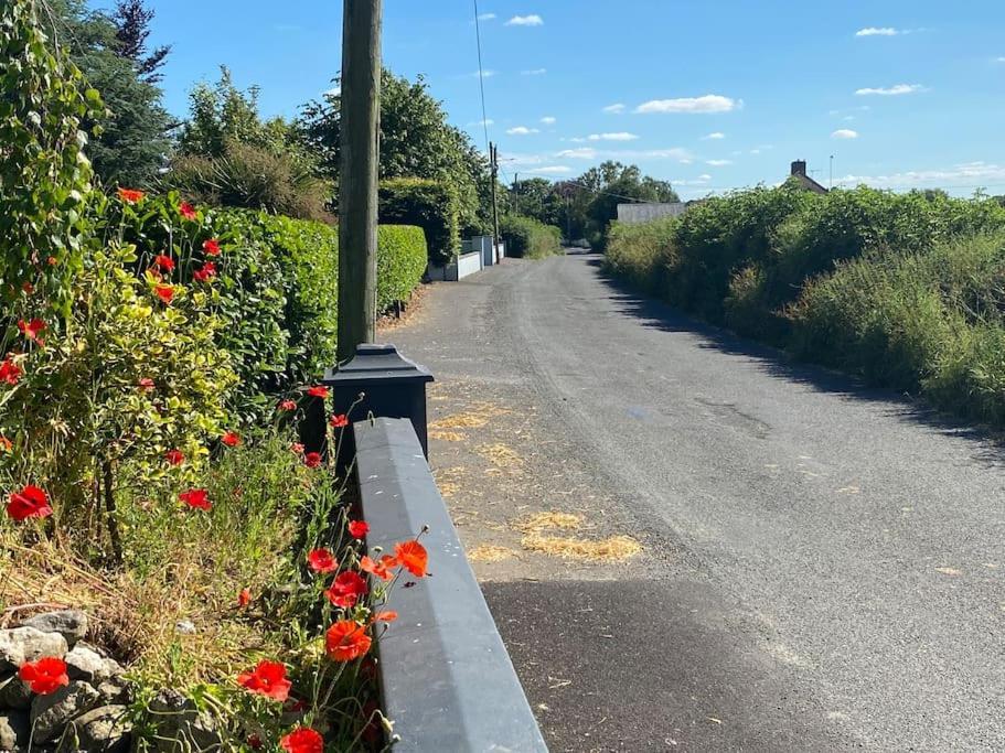 Adorable Cabin In The Countryside Laois Exterior foto