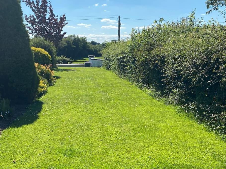Adorable Cabin In The Countryside Laois Exterior foto